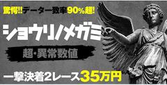 ショウリノメガミ
一撃決着35万円