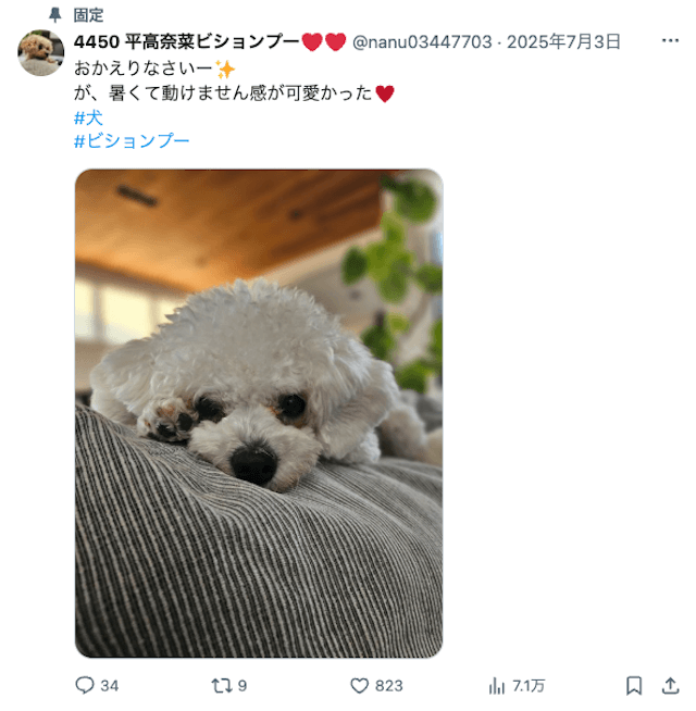 平高奈菜のXアカウントの投稿画像