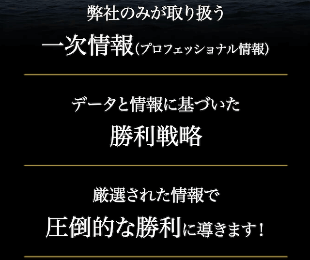 競艇プロフェッショナル 特徴